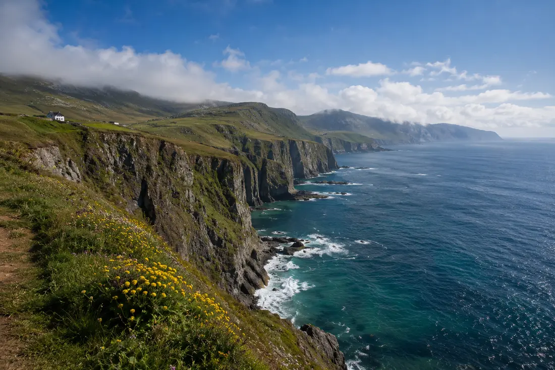 Original AI coastal landscape with flower-covered cliffs